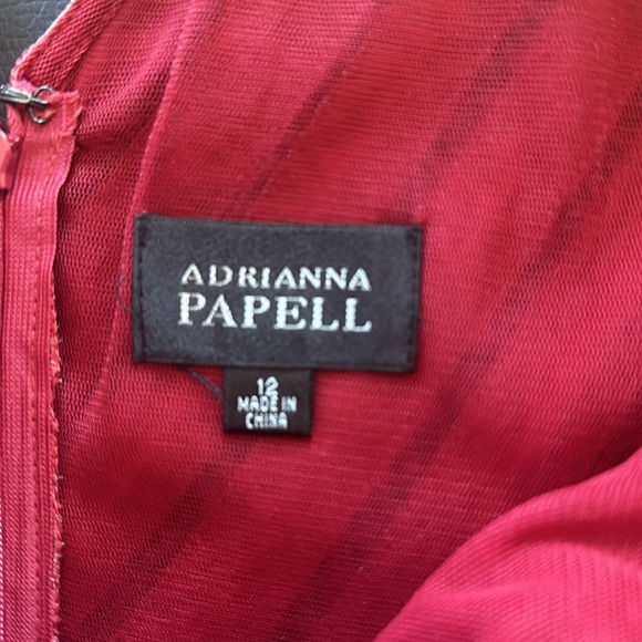 Stunning, Shimmery Adrianna Papell Dress, Size 12 - Picture 3 of 4